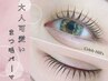 【27日以内再来の方】韓国アイドル風束感潤いまつ毛パーマ【上】￥3850