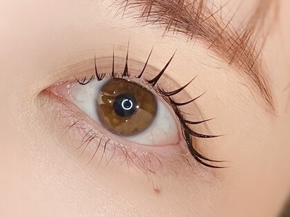 フェリシア(fericia)の写真