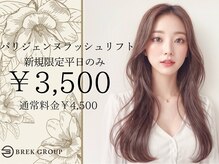 ブレイク 穂積店(BREK)