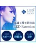 LED【バインドラッシュ】40束♪  6900円